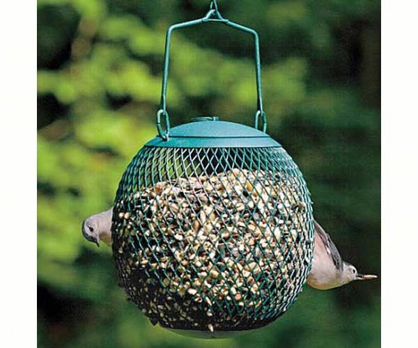 Seed Ball Backyard Birder Home & Garden Gift Store