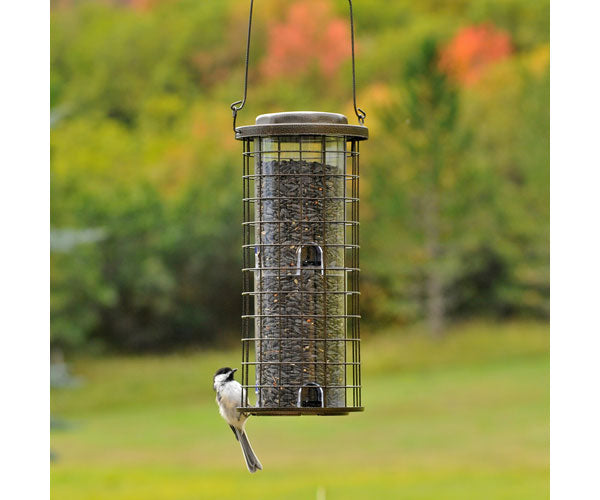 Squirrel Stumper Feeder Backyard Birder Home & Garden Gift Store