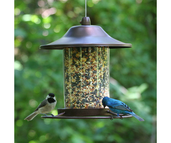 Panorama Backyard Birder Home & Garden Gift Store