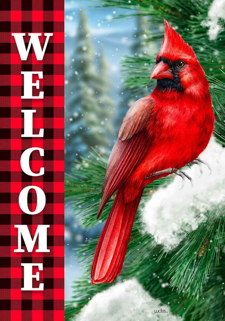 Welcome Red Cardinal