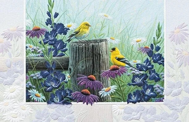 BIRTHDAY - Goldfinch Meadow