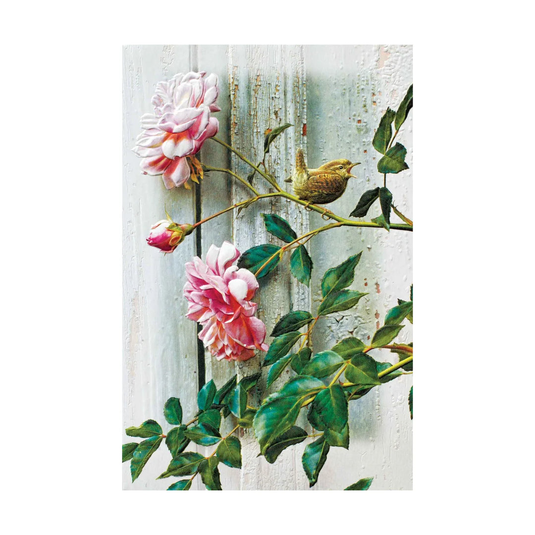 SYMPATHY - Summer Roses