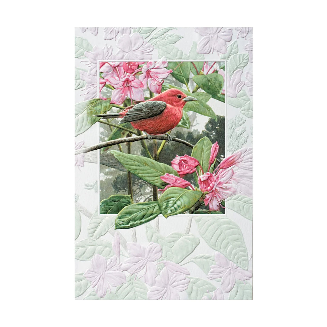 BIRTHDAY - Scarlet Tanager