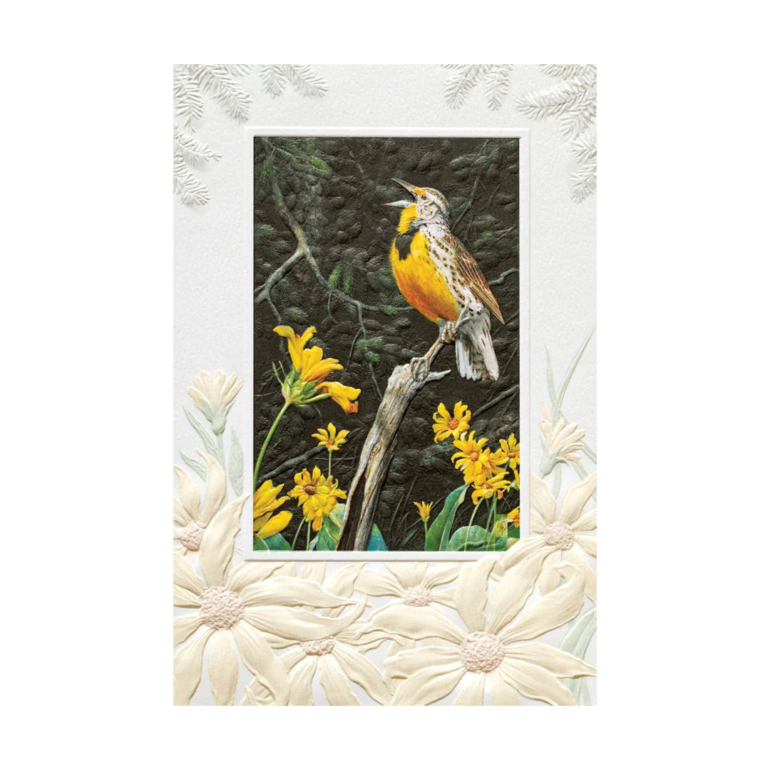 BIRTHDAY - Twixt the Meadow &amp; Woods