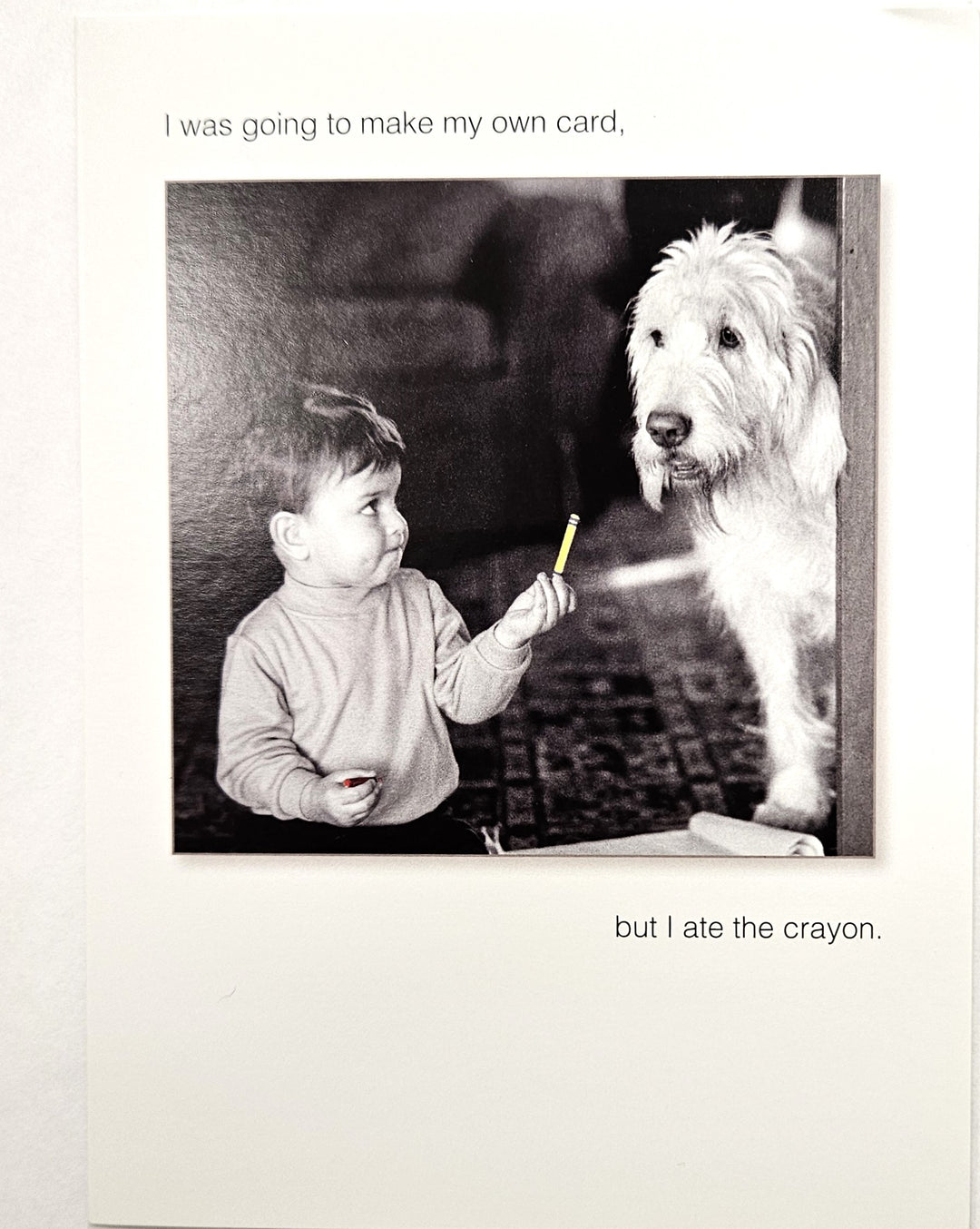 BIRTHDAY - I Was Going To Make My Own Card