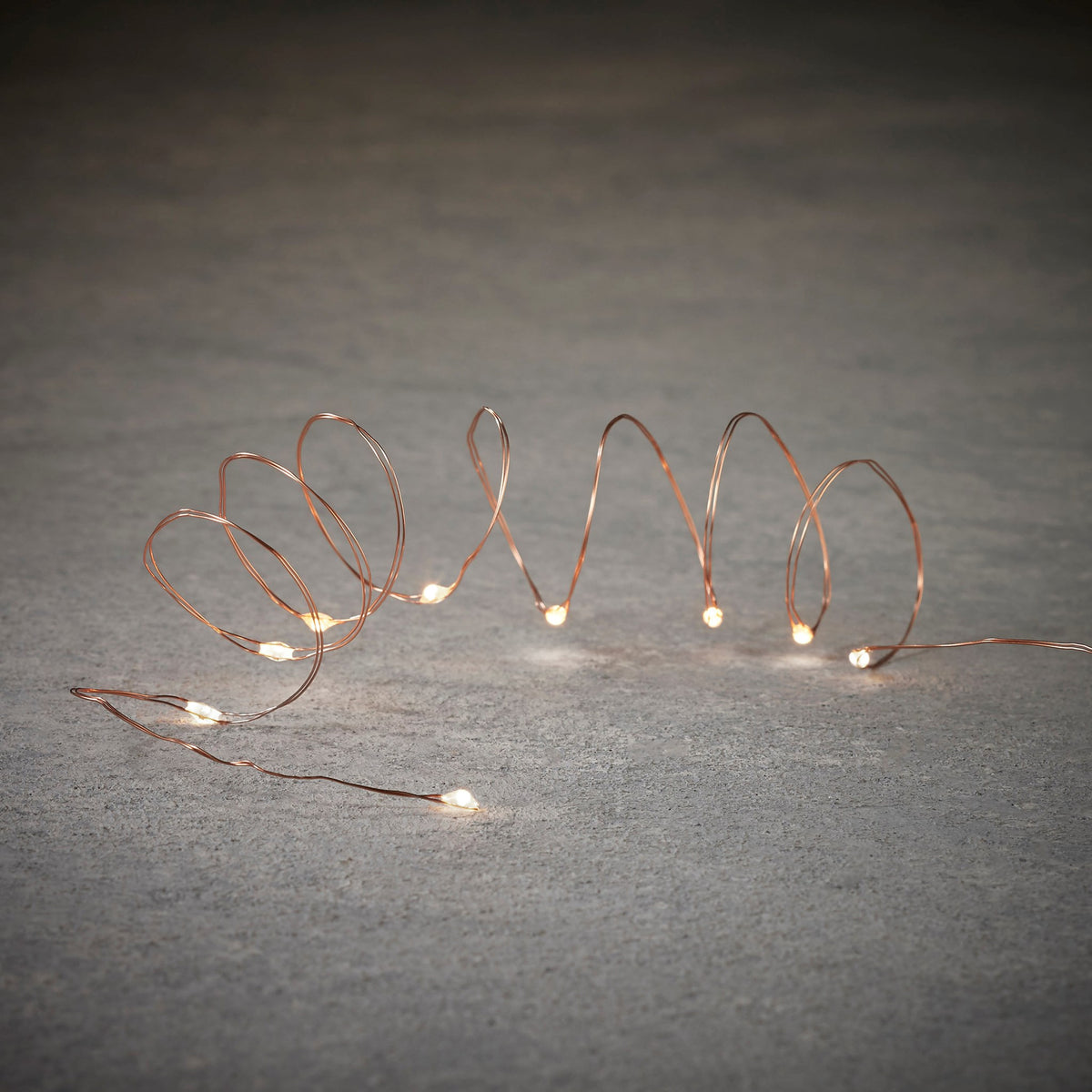 Indoor String 10 LED Wire - Copper – Backyard Birder Home & Garden ...