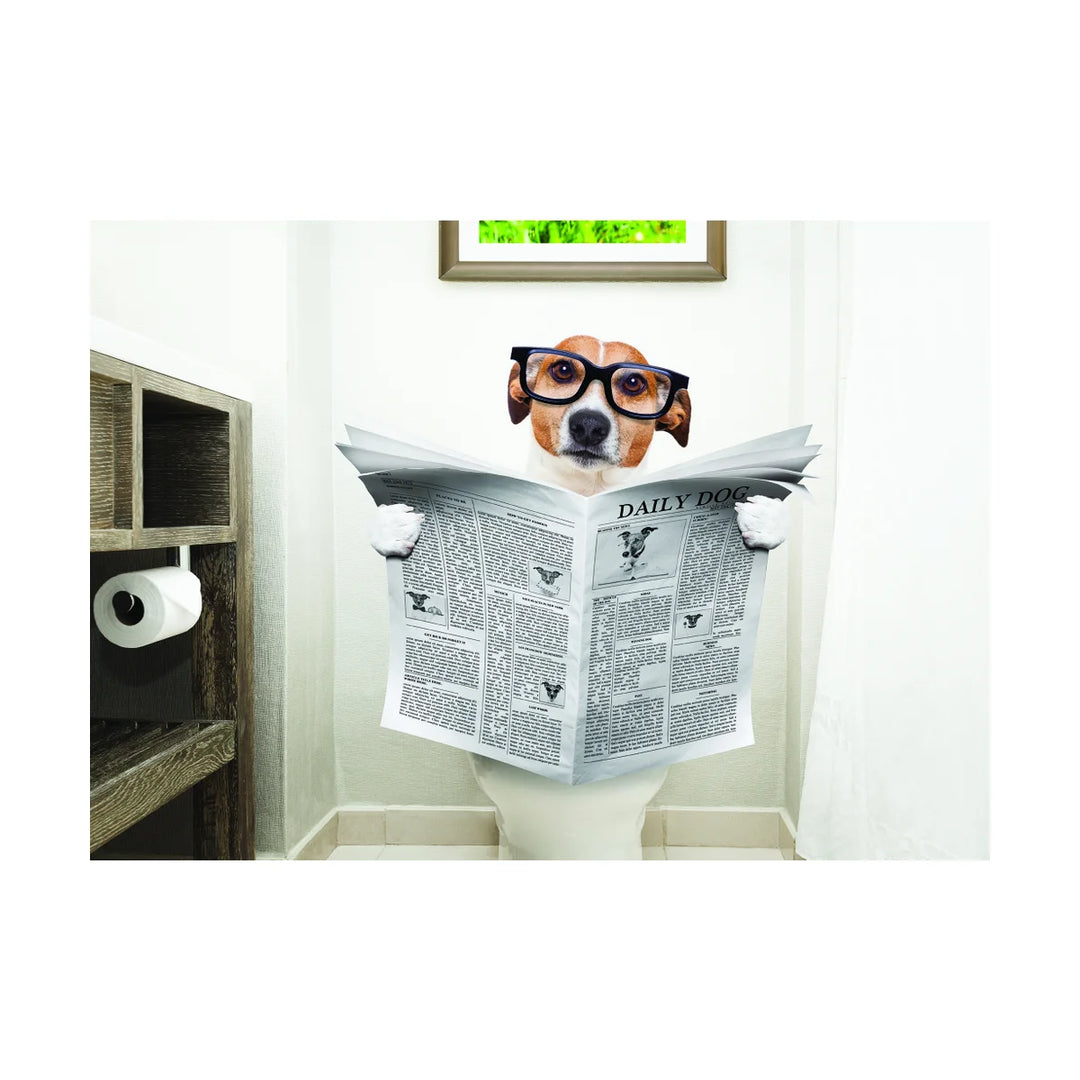 BIRTHDAY - Dog Reading Newspaper