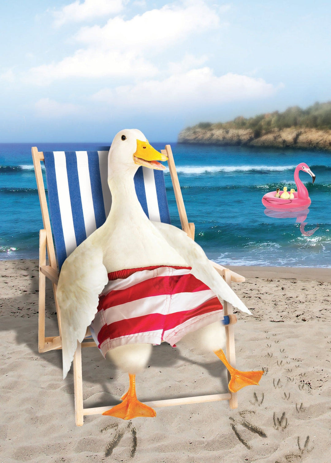 RETIREMENT - Duck On Beach