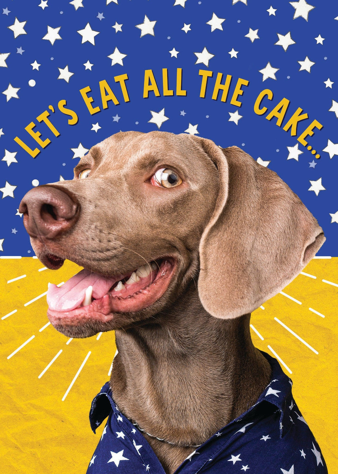 BIRTHDAY - It Was The Dog
