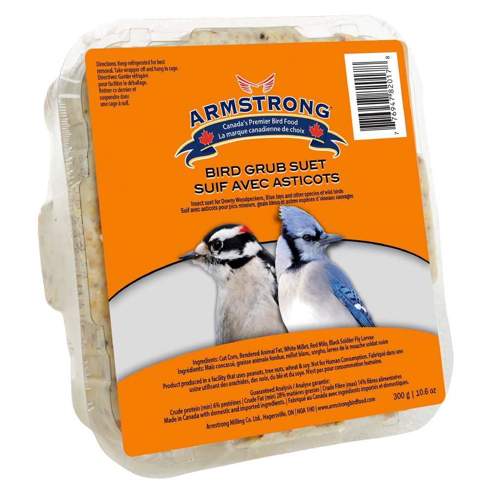 Bird Grub Suet