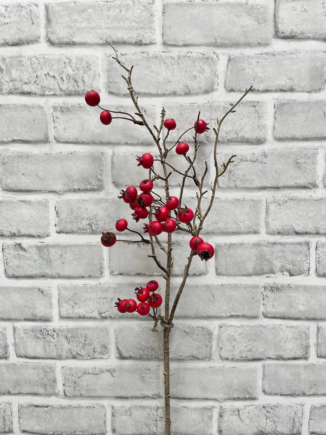 Red Berry Spray