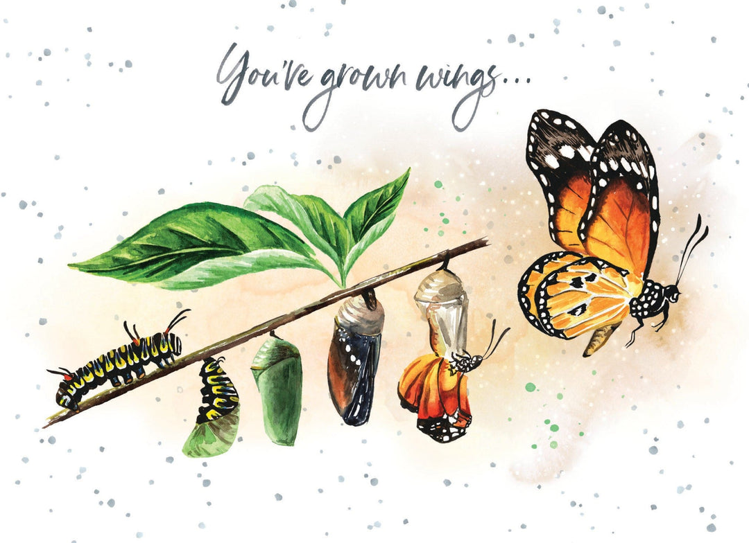 CONGRATULATIONS - Metamorphosis