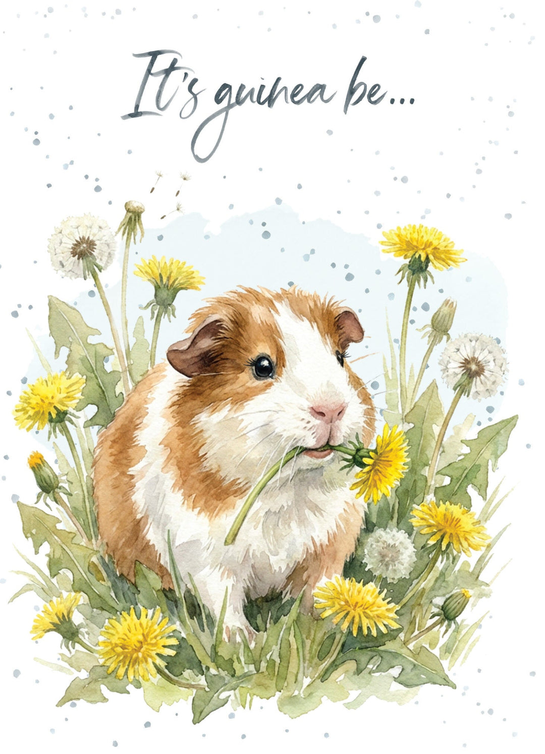 BIRTHDAY - Guinea Be