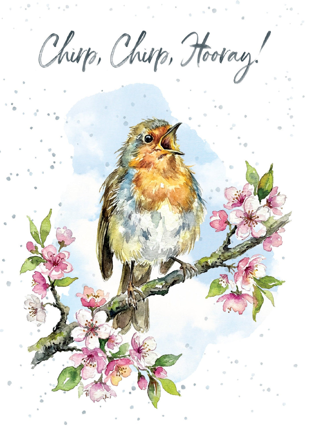 BIRTHDAY - Chrip Chirp Hooray