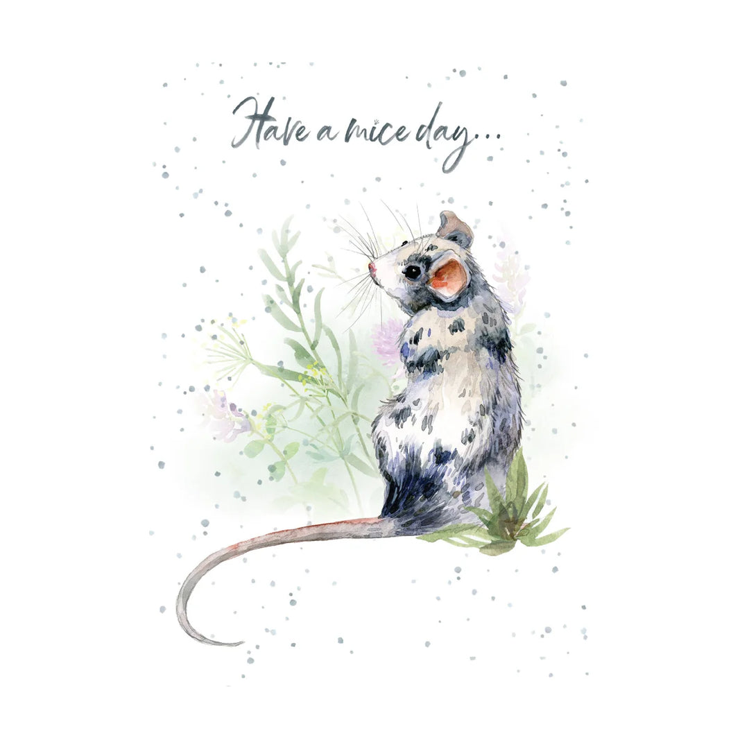 EVERYDAY - Mice Day