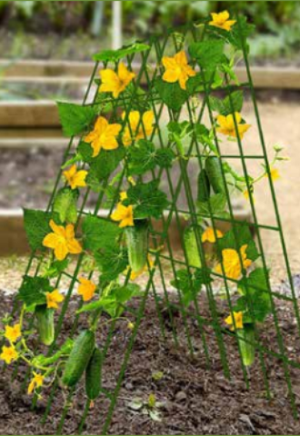 Folding Vegetable Grid Trellis – Backyard Birder Home & Garden | Gift Store