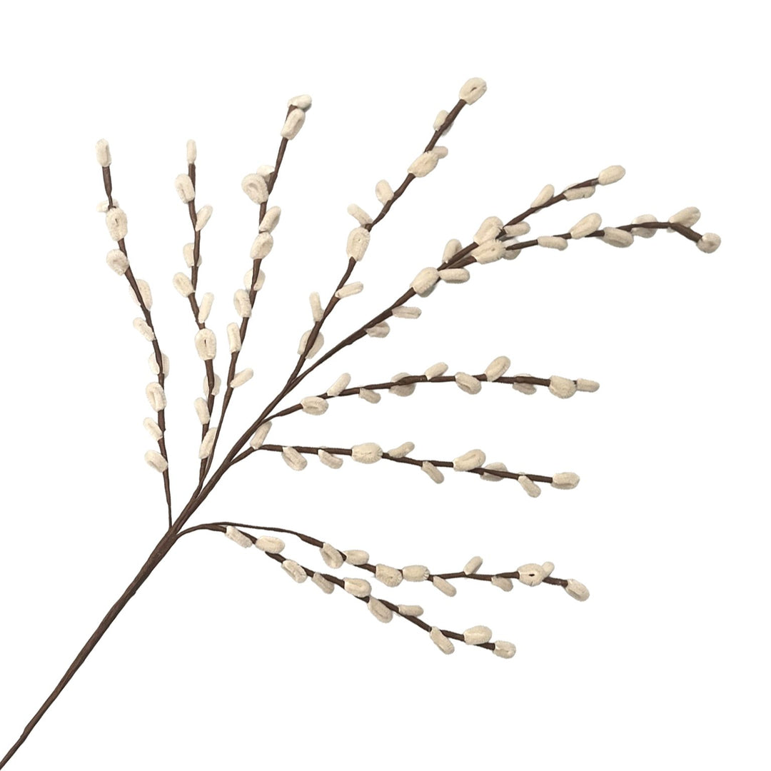 SPRAY PUSSY WILLOW