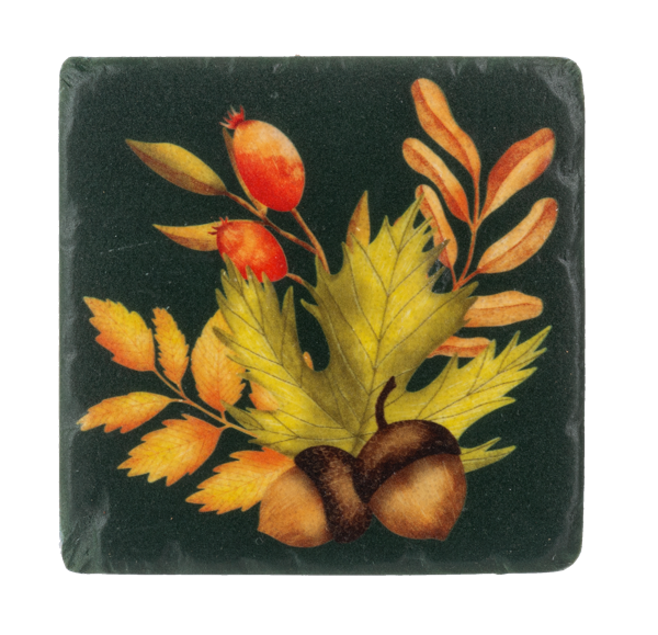 Fall Foliage Coaster (Set of 4)