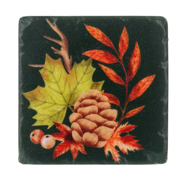 Fall Foliage Coaster (Set of 4)