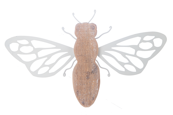 Dragonfly, Butterfly &amp; Bee with Laser Cut Wing Wall Decor