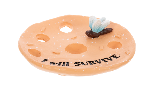Punny Plants - Propagation Dish (Sold Separately)