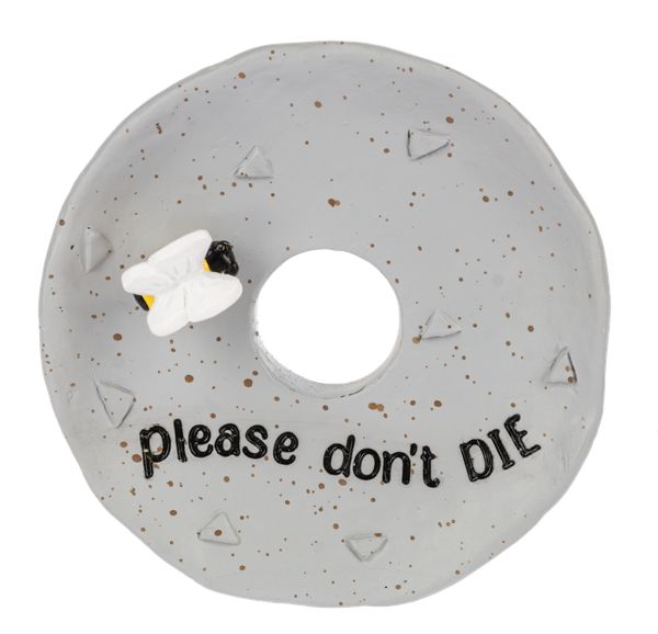 Punny Plants - Propagation Dish (Sold Separately)