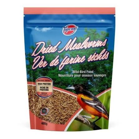 Dried Mealworms