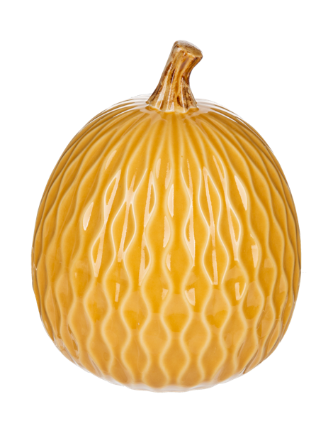 Harvest Pumpkin