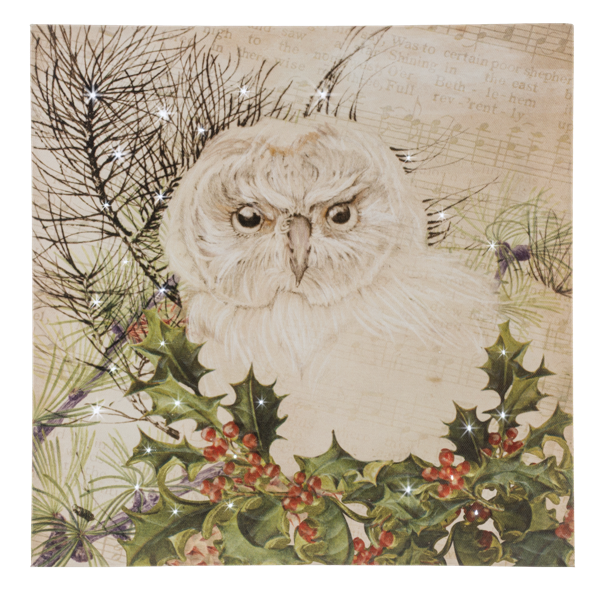 LED Light Up Owl Wall Decor Canvas