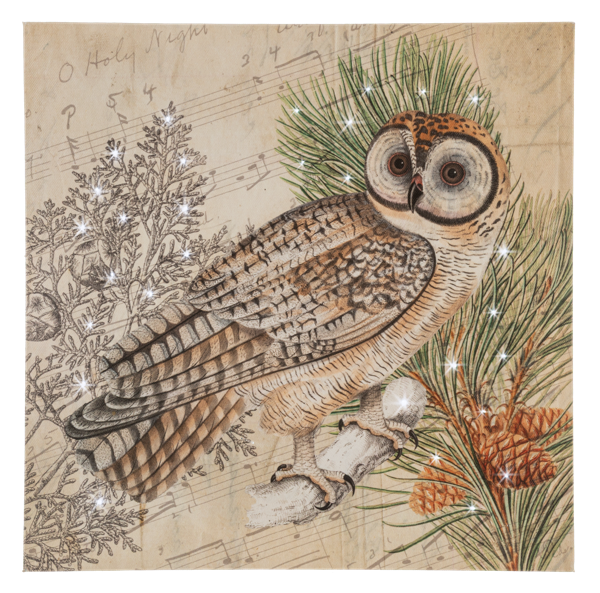 LED Light Up Owl Wall Decor Canvas