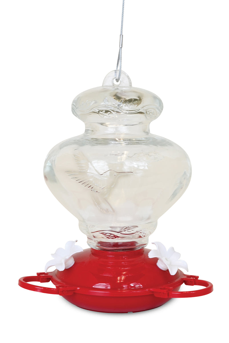Embossed Hummingbird Glass Feeder Backyard Birder Home & Garden Gift Store