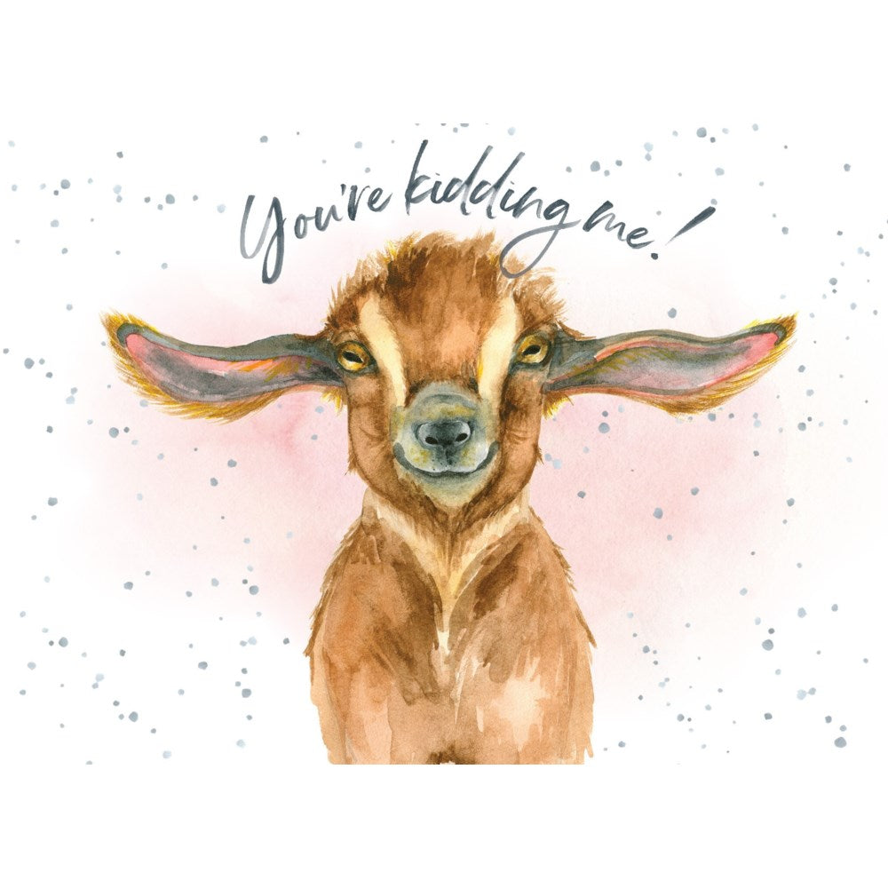 BIRTHDAY - Kidding me