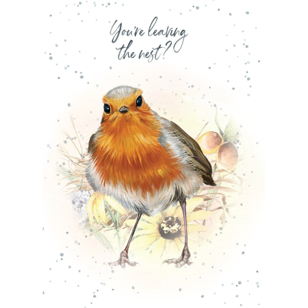 NEW HOME - Leaving the nest