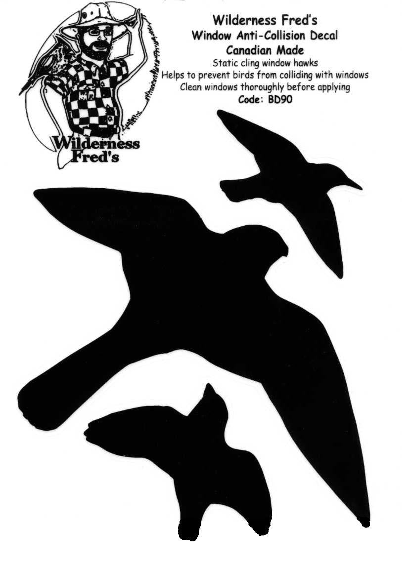 Bird Alert Hawk Silhouettes