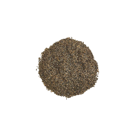 Nyjer Seed