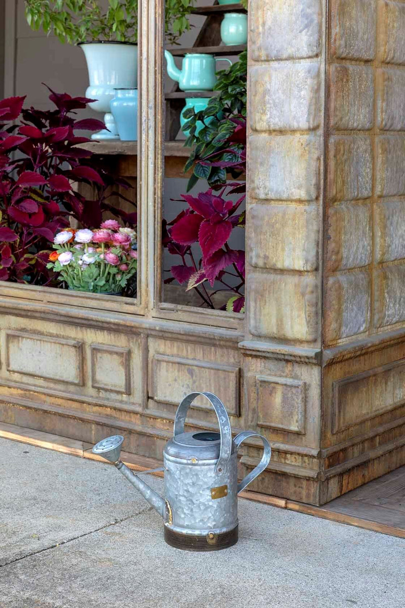 Petite Potager Metal Watering Can Backyard Birder Home & Garden Gift Store