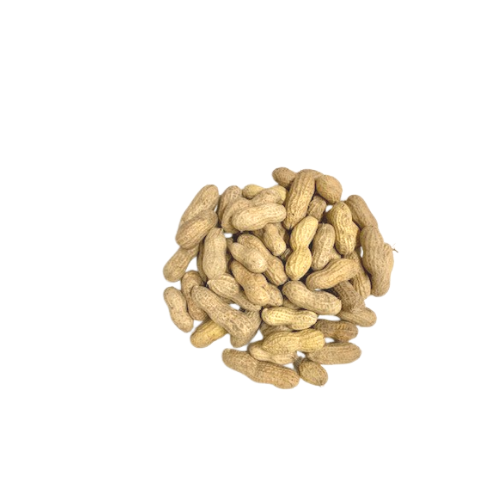 Peanuts in Shell