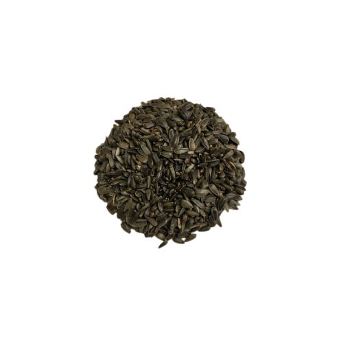 Black Oil Sunflower