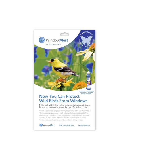 Window Alert Butterfly Backyard Birder Home & Garden Gift Store