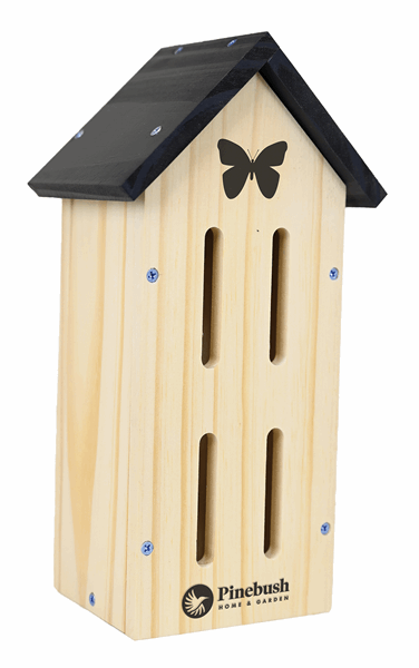 DIY Butterfly Kit